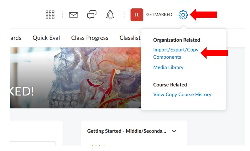 D2L Brightspace import and export menu