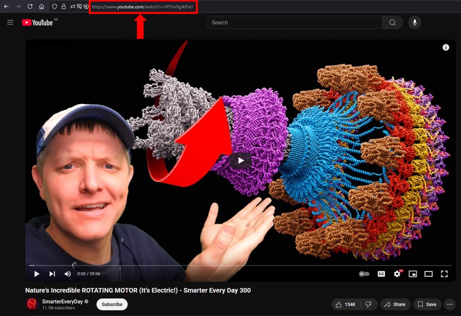 Screenshot of a YouTube Video, link is annotated