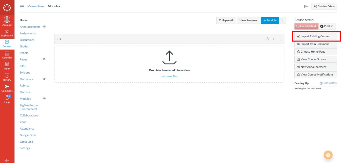 canvas lms course page with import content button annotated